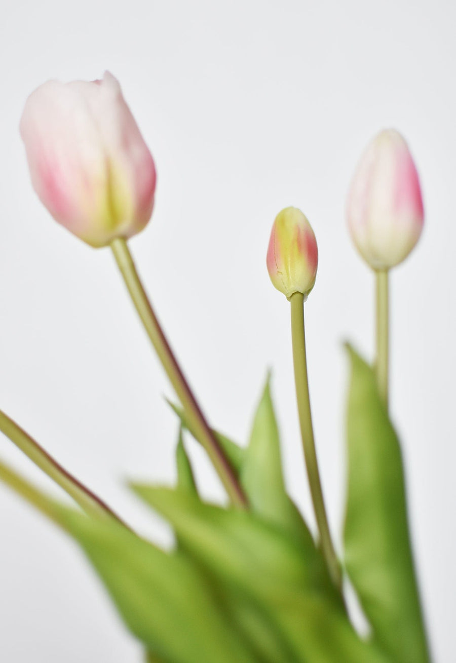 18" Faux Tulip Stem Bundle Blush Pink