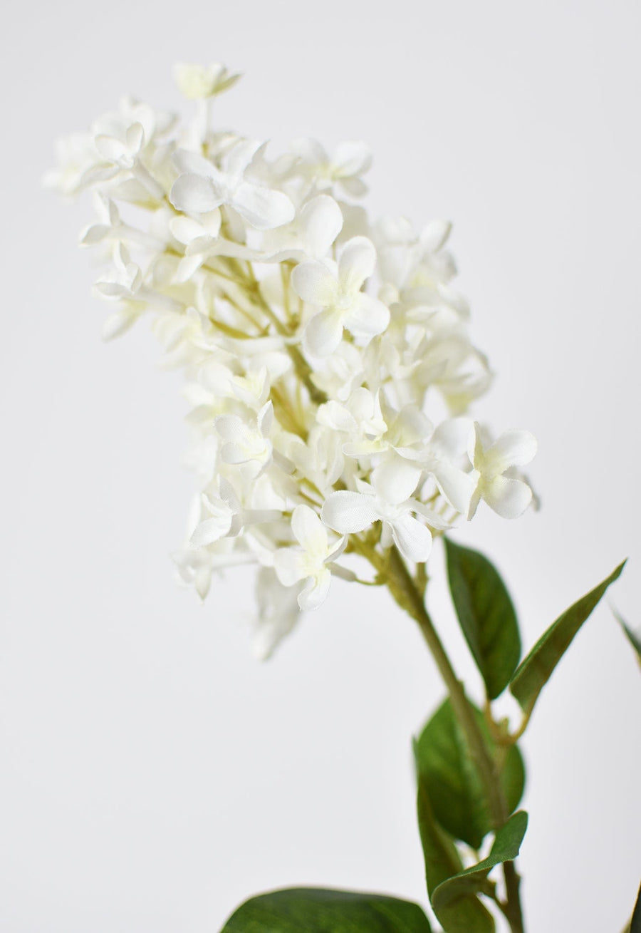 28.5" Faux White English Lilac Stem