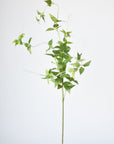 40" Faux Green Clematis Vine Stem