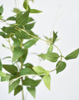 40" Faux Green Clematis Vine Stem