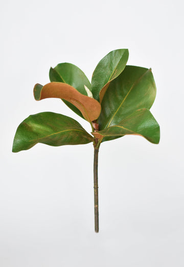 14" Faux Magnolia Leaf  Stem