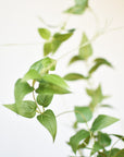 40" Faux Green Clematis Vine Stem