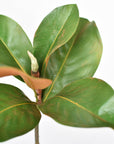 14" Faux Magnolia Leaf Stem