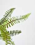17" Faux Green Boston Fern Bush