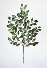 26" Faux Ruscus Leaf Stem