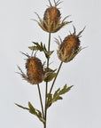 26" Faux Brown Thistle Stem