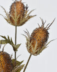 26" Faux Brown Thistle Stem