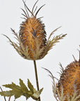 26" Faux Brown Thistle Stem