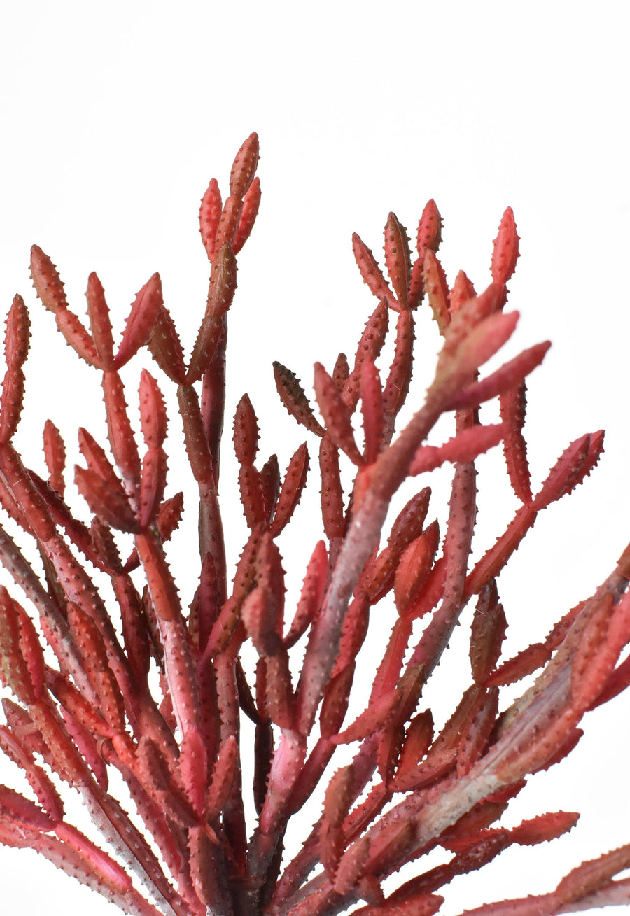13" Faux Red Pencil Cactus Spray