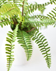 17" Faux Green Boston Fern Bush