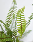 17" Faux Green Boston Fern Bush