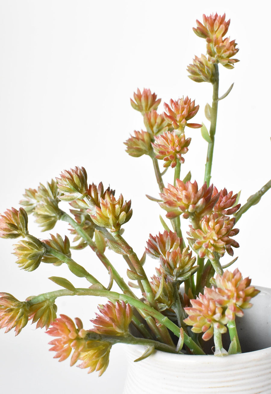 11" Faux Green/Pink Sedum Spray