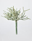 8" Faux Soft Touch Green/Gray Pencil Cactus Pick