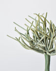 8" Faux Soft Touch Green/Gray Pencil Cactus Pick