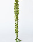 28" Faux String of Pearl Succulent Stem