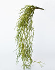 24" Faux Pencil Cactus Hanging Succulent Bush