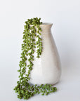 28" Faux String of Pearl Succulent Stem