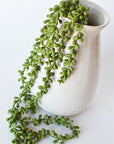 28" Faux String of Pearl Succulent Stem