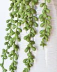 28" Faux String of Pearl Succulent Stem