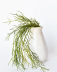 24" Faux Pencil Cactus Hanging Succulent Bush