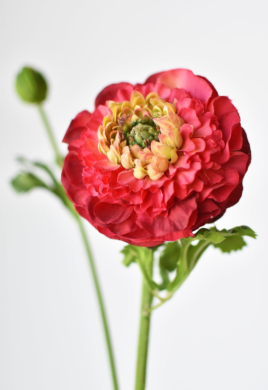 21" Faux Double Ruffled Ranunculus Stem Red