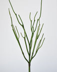 23" Faux Green Pencil Cactus Succulent Stem