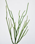 23" Faux Green Pencil Cactus Succulent Stem