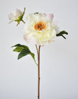 22.5" Faux Peony Stem w/Bud Cream White/Soft Pink
