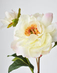 22.5" Faux Peony Stem w/Bud Cream White/Soft Pink