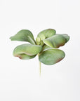 6" Faux Green\Gray Kalanchoe Succulent Pick