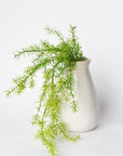 26" Faux Soft Asparagus Fern Sprengeri Bush