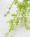 26" Faux Soft Asparagus Fern Sprengeri Bush