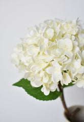 26 inch faux creamy white hydrangea stem