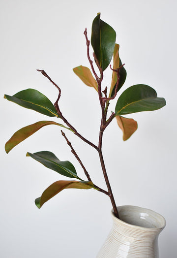 26" magnolia leaf branch
