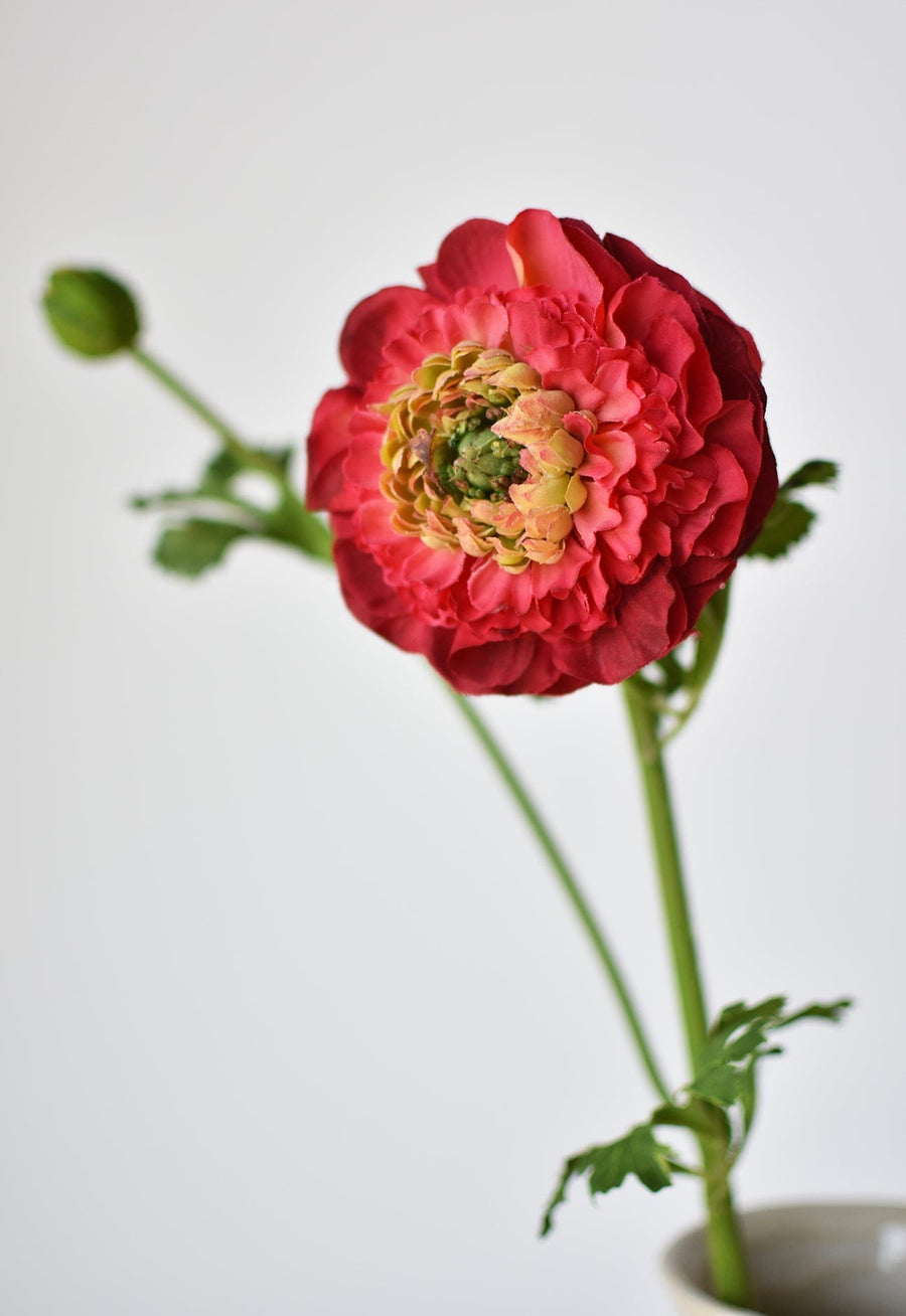 21" Faux Double Ruffled Ranunculus Stem Red