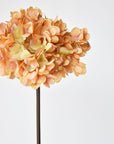 27" Faux Hydrangea Terracotta Orange Stem