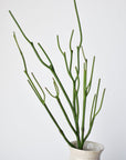23" Faux Green Pencil Cactus Succulent Stem