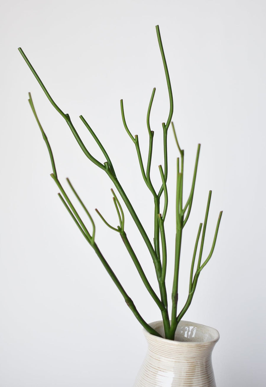 artificial pencil cactus 23" Faux Green Pencil Cactus Succulent Stem – House by JSD