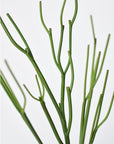 23" Faux Green Pencil Cactus Succulent Stem