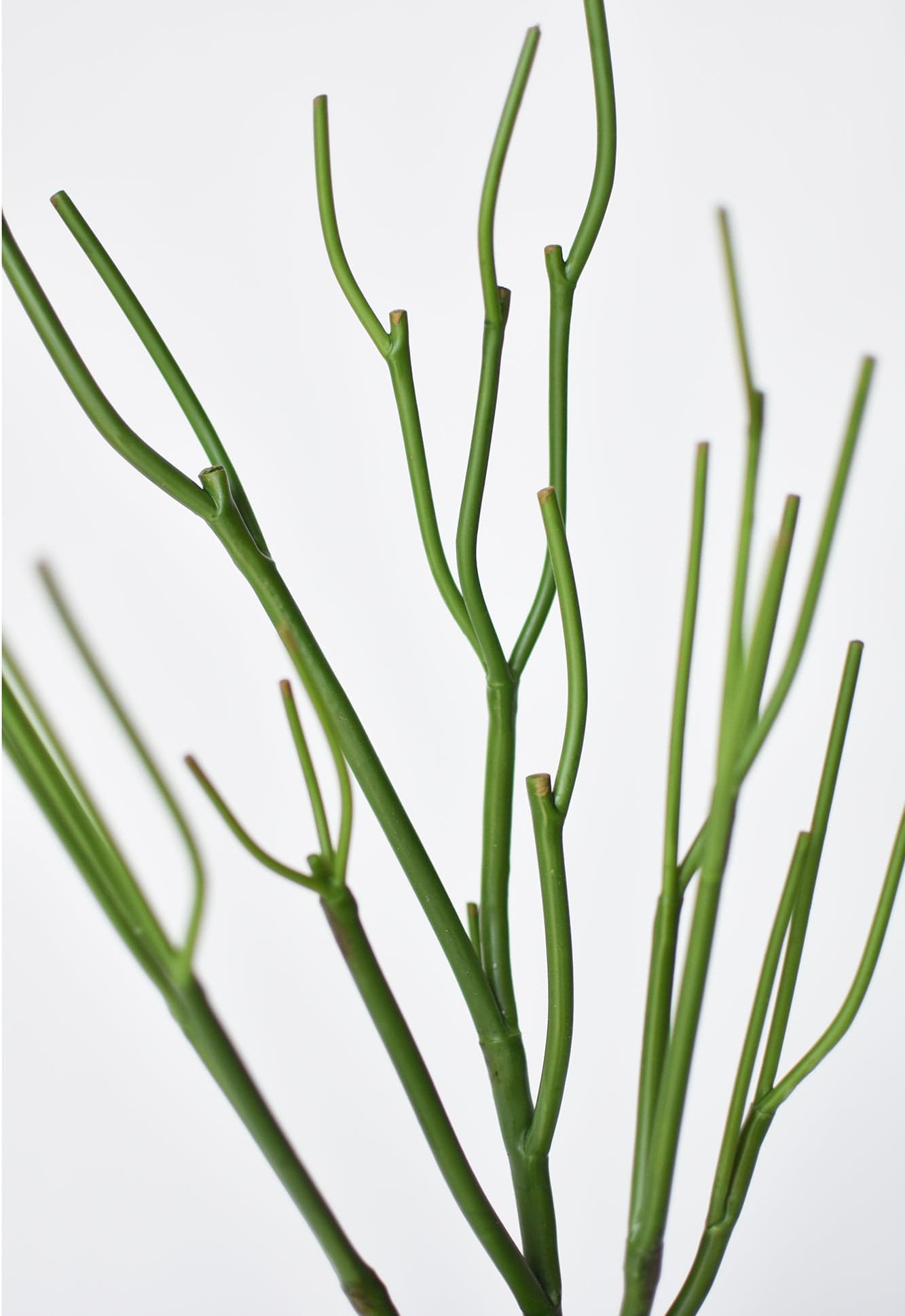 pencil cactus hanging 24" Faux Pencil Cactus Hanging Succulent Bush – House by JSD