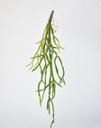 23" Faux Hanging Pencil Cactus Succulent Bush