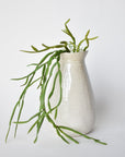 23" Faux Hanging Pencil Cactus Succulent Bush