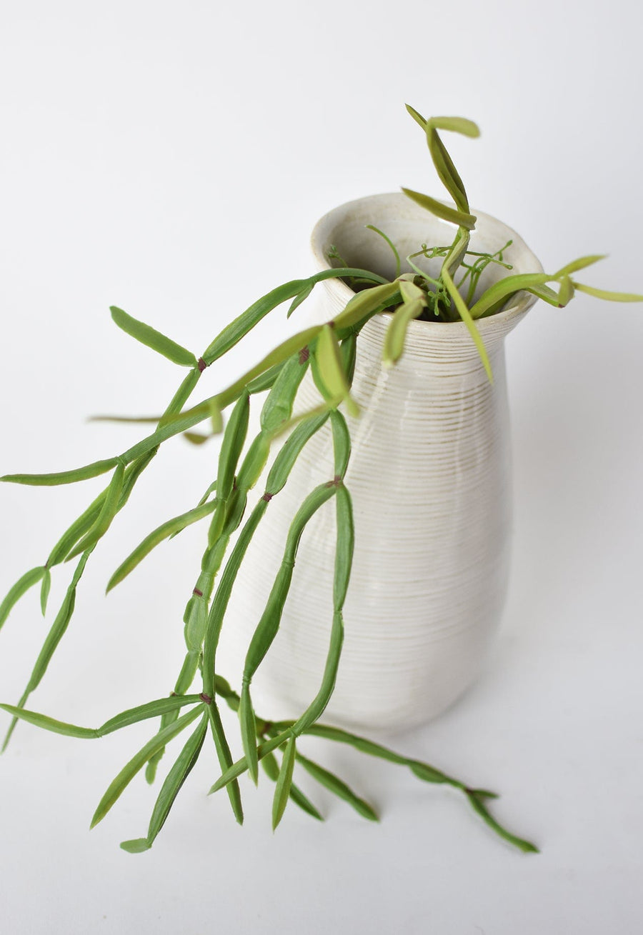 trailing pencil cactus 23" Faux Hanging Pencil Cactus Succulent Bush – House by JSD