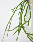 23" Faux Hanging Pencil Cactus Succulent Bush