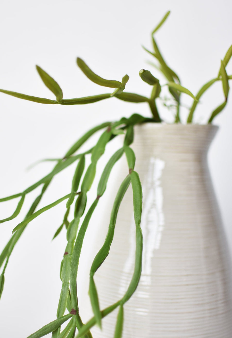 faux hanging succulents 23" Faux Hanging Pencil Cactus Succulent Bush – House by JSD