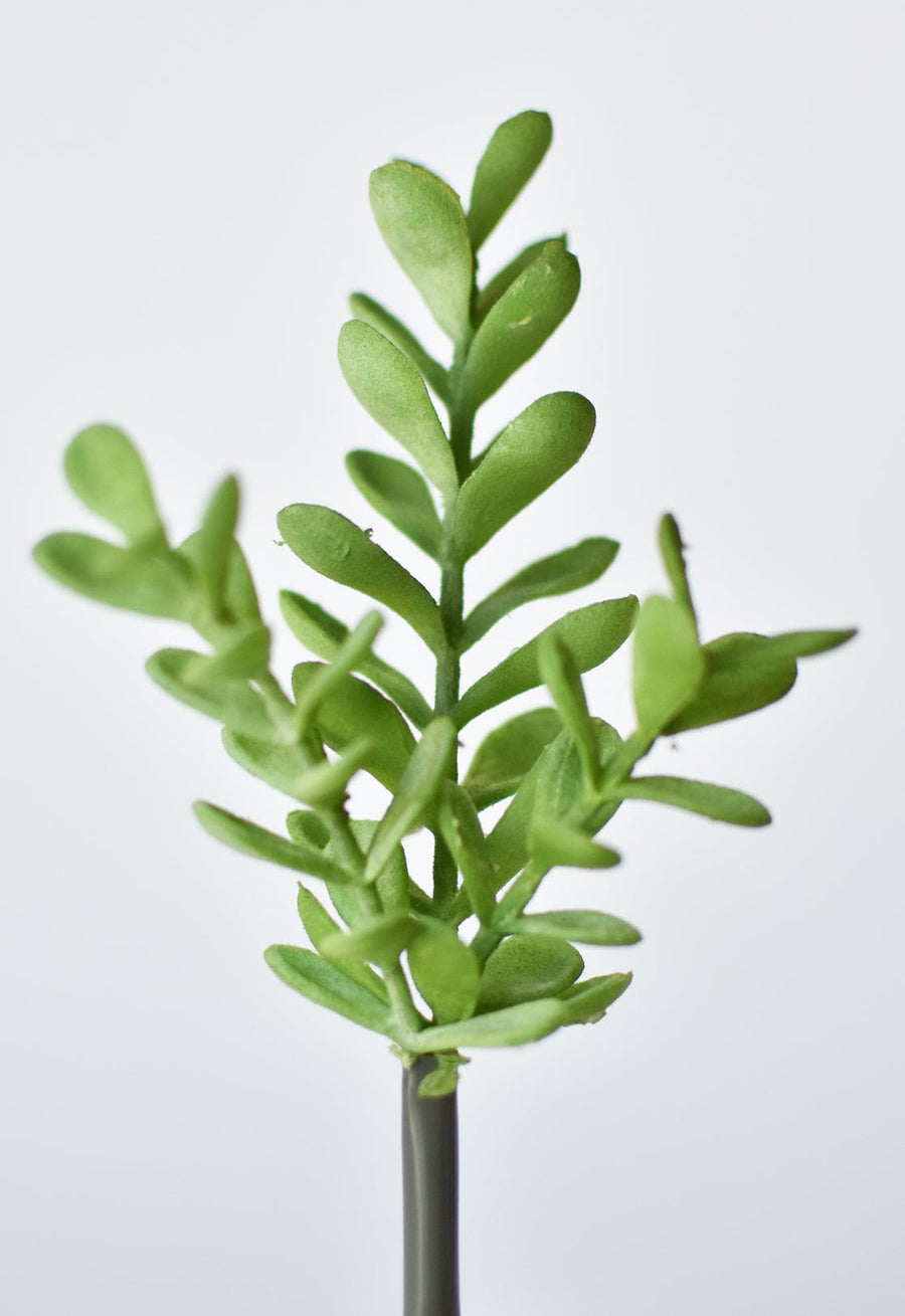 8.5" Faux Mini Jade Succulent Pick