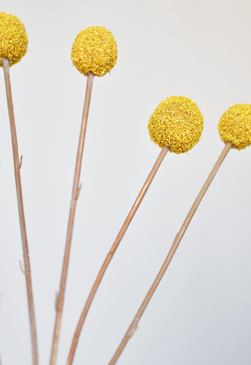 28" Faux Yellow Billy Ball Stem Bundle