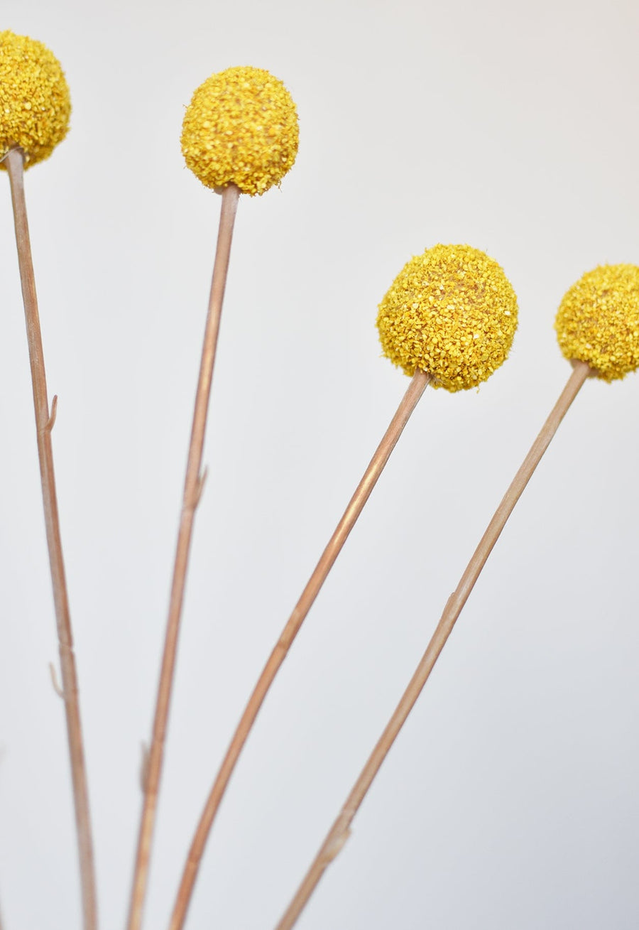 28" Faux Yellow Billy Ball Stem Bundle