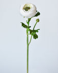 13" Faux White Ranunculus Stem