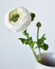 13" Faux White Ranunculus Stem